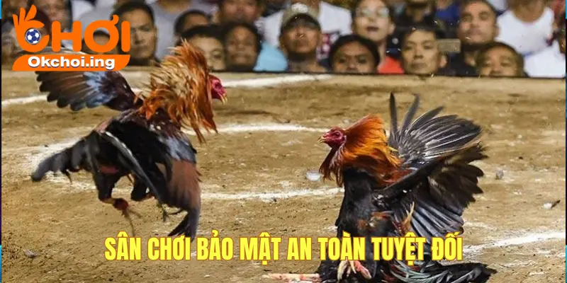 đá gà Okchơi bảo mật